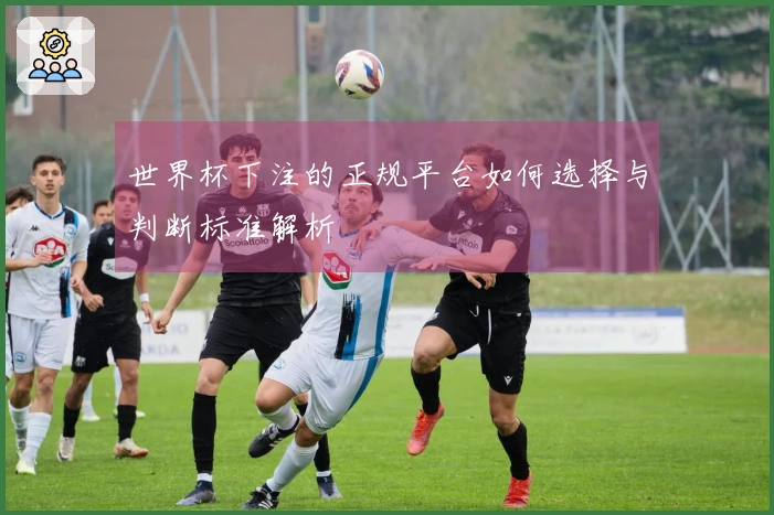 世界杯下注的正规平台如何选择与判断标准解析