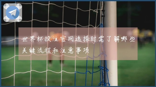 世界杯投注官网选择时需了解哪些关键流程和注意事项