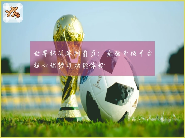 世界杯买球网首页:全面介绍平台核心优势与功能体验