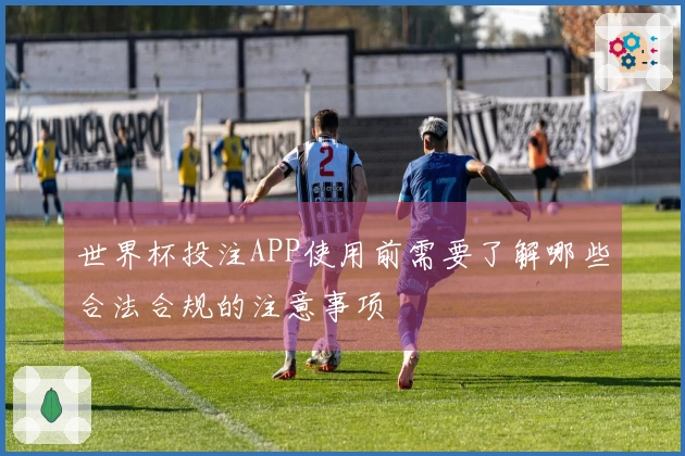 世界杯投注APP使用前需要了解哪些合法合规的注意事项