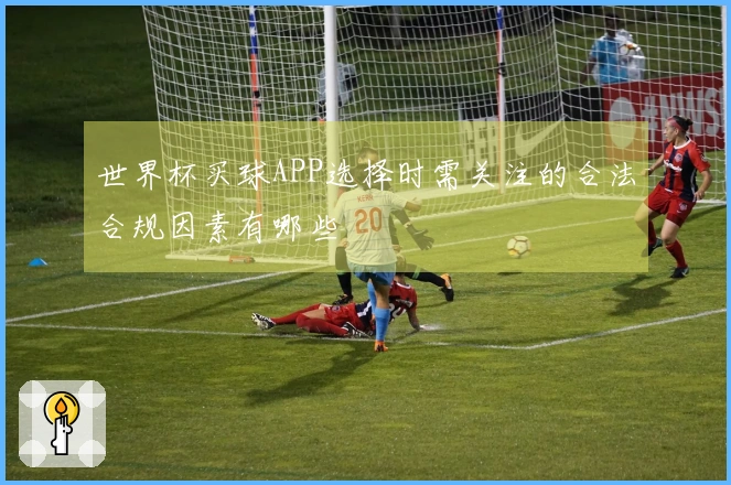 世界杯买球APP选择时需关注的合法合规因素有哪些