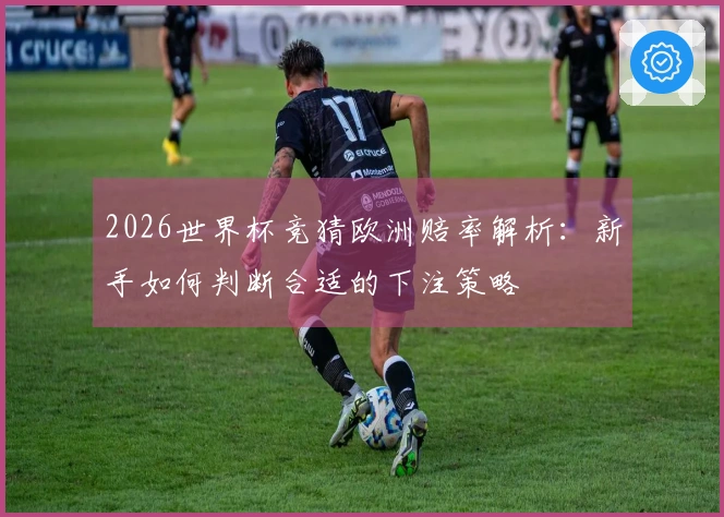 2026世界杯竞猜欧洲赔率解析：新手如何判断合适的下注策略