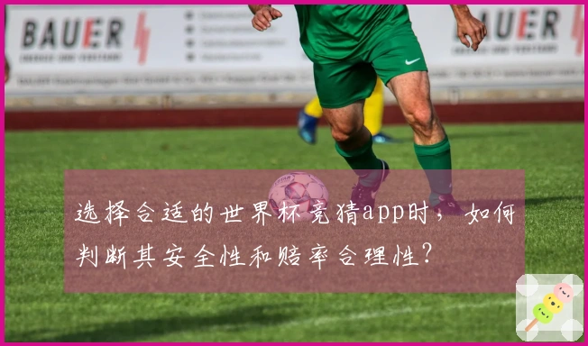 选择合适的世界杯竞猜app时，如何判断其安全性和赔率合理性？