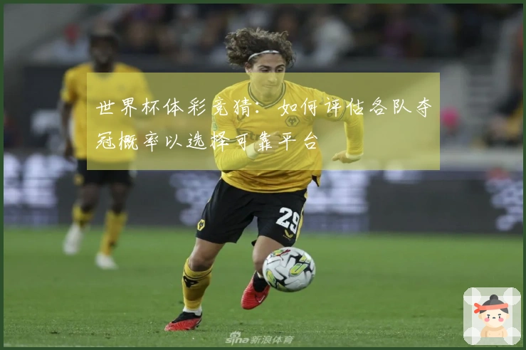 世界杯体彩竞猜：如何评估各队夺冠概率以选择可靠平台