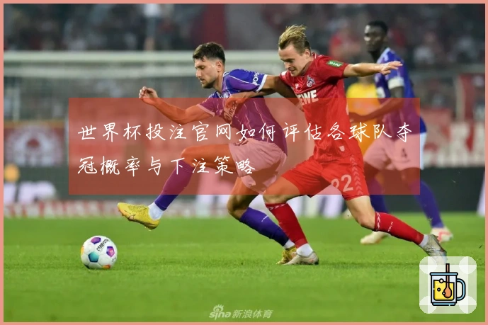 世界杯投注官网如何评估各球队夺冠概率与下注策略