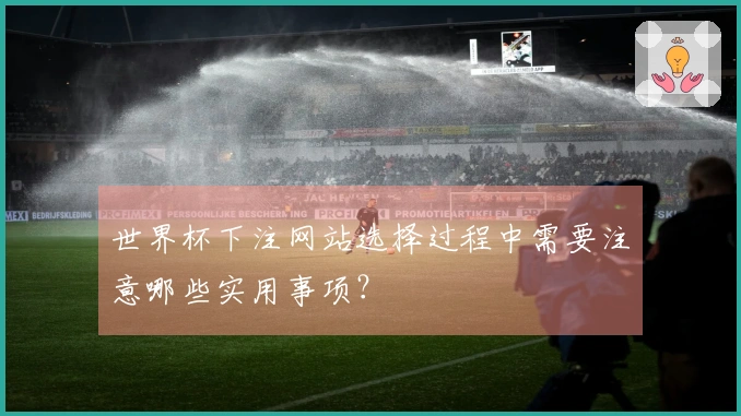 世界杯下注网站选择过程中需要注意哪些实用事项？
