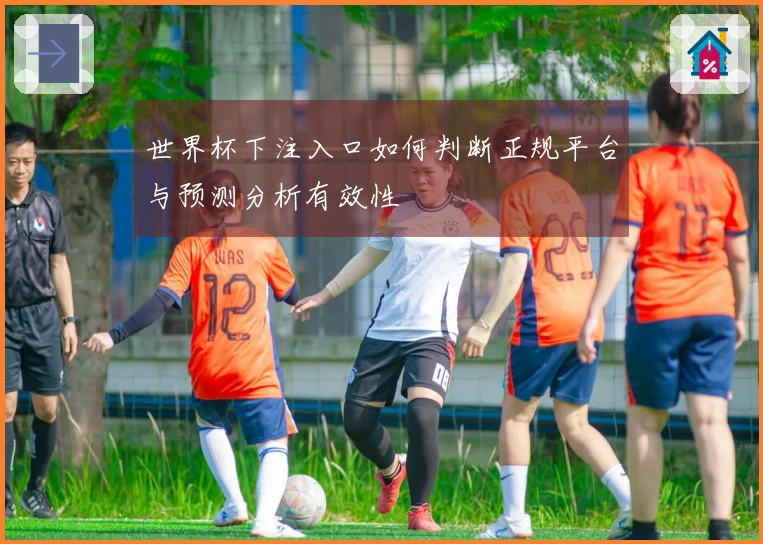 世界杯下注入口如何判断正规平台与预测分析有效性