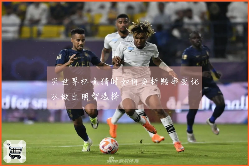 买世界杯竞猜时如何分析赔率变化以做出明智选择