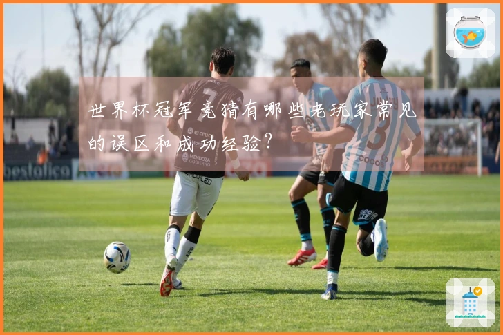 世界杯冠军竞猜有哪些老玩家常见的误区和成功经验？