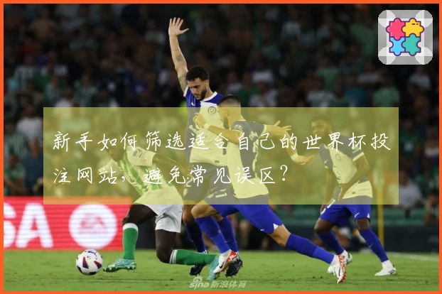新手如何筛选适合自己的世界杯投注网站，避免常见误区？