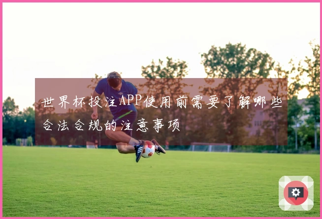 世界杯投注APP使用前需要了解哪些合法合规的注意事项
